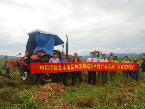 图四：木薯机械化生产示范验收现场