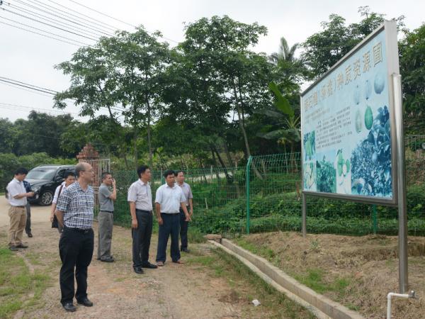  参观番石榴种质资源圃