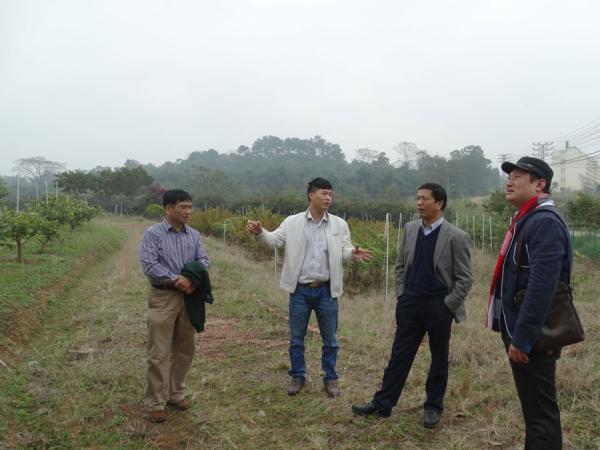 郭文武教授参观番石榴基地