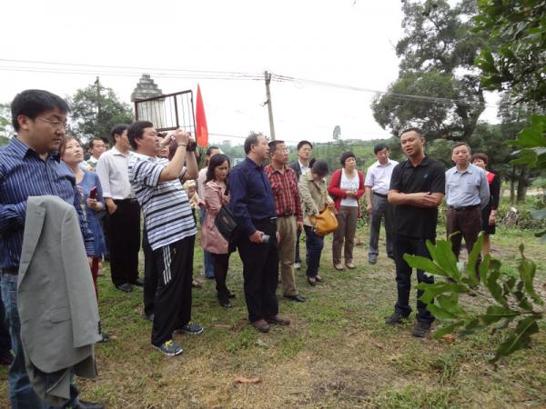 全国引智基地会议代表参观广西亚热带作物研究所澳洲坚果种质资源圃