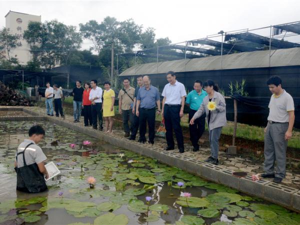 参观水生植物种质资源圃