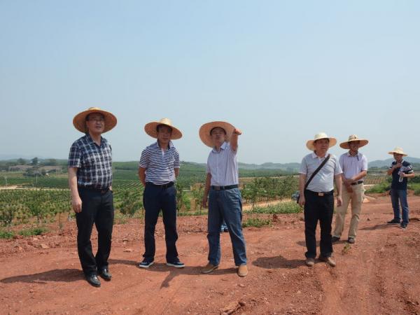 李添文介绍樱花橘香园