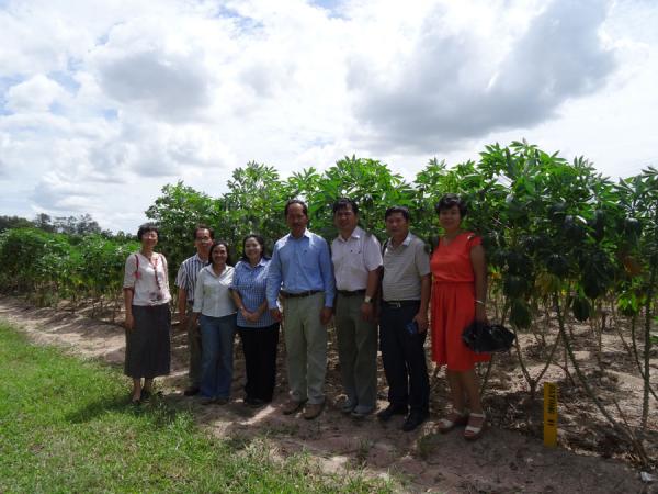 广西木薯所科技人员赴泰国考察引种