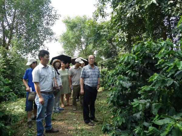 广西热作所隆重开展科研生产大检查工作