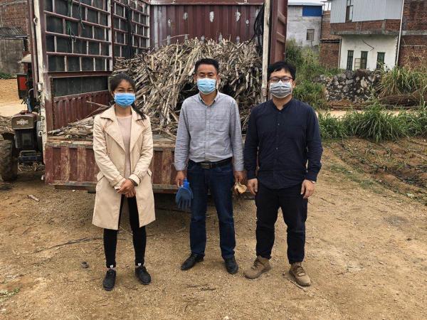 广西热作所科技特派员开展春耕备耕工作