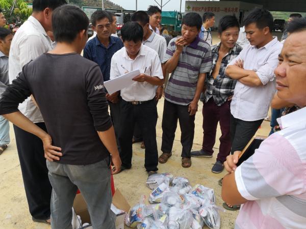 广西热作所科技特派员在贫困村举办“芒果栽培与病虫害防控技术培训班”