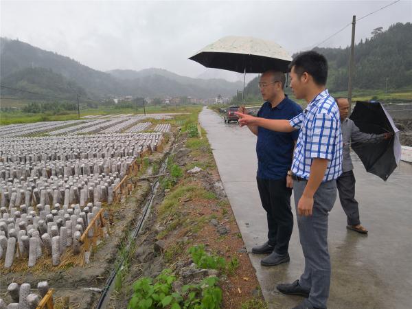 广西热作所所长黄强带队到融水县开展科技扶贫项目蹲点调研工作