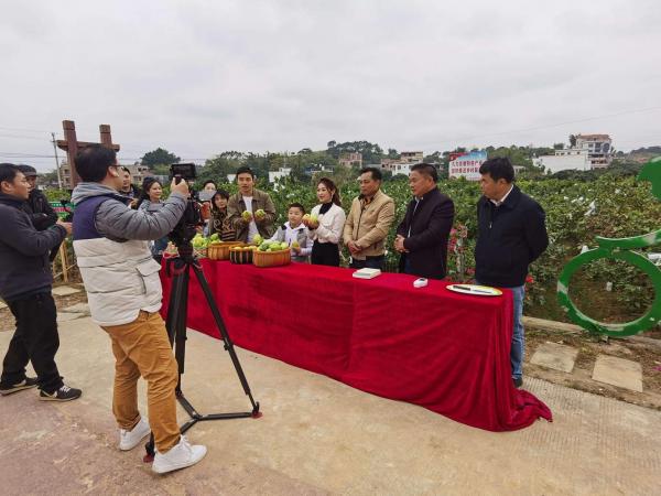 广西热作所专家参加广西卫视“大家来到我们村”节目拍摄