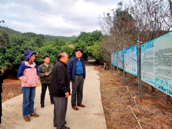广西落叶果树产业创新团队桂南综合试验站专家到钦州市开展技术服务