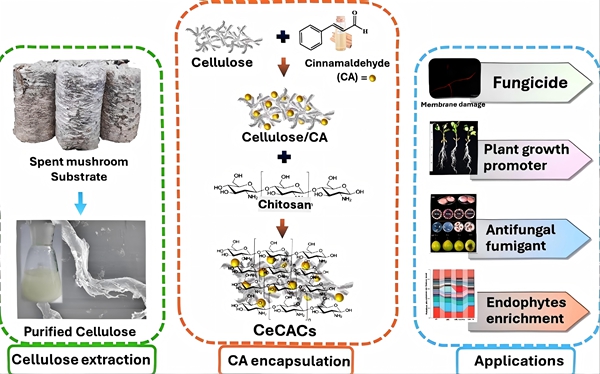 图2 论文摘要图_副本.jpg