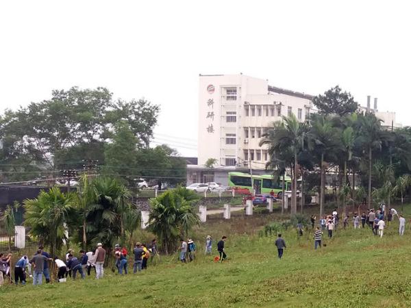 广西热作所开展义务植树活动