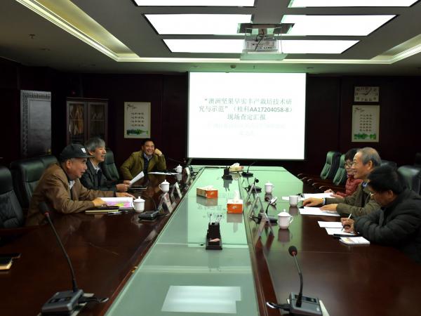 广西热作所承担的广西创新驱动发展重大专项课题“澳洲坚果早实丰产栽培技术研究与示范”通过现场查定