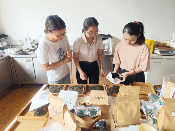 广西茶叶创新团队南宁综合试验站赴横州市交流茉莉花茶科技合作事项
