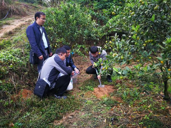 广西热作所金桔课题组成员赴融安县开展项目实施工作