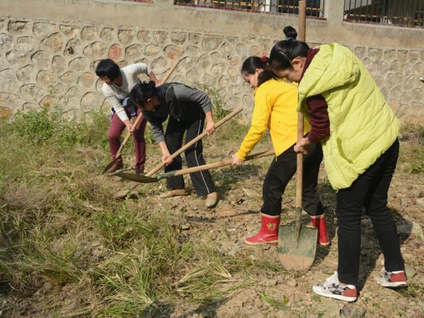 热作所机关一支部开展“进社区清洁环境服务”活动