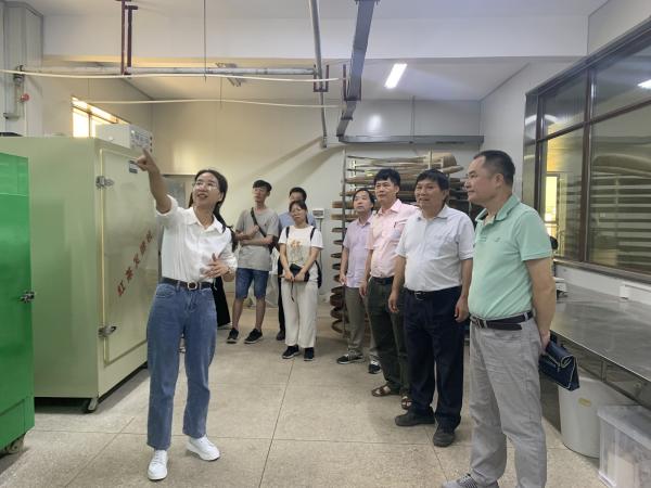 广西茶叶创新团队首席专家韦静峰到广西热作所指导交流