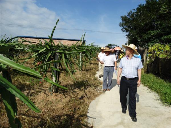 广西热作所顺利开展2018年度中期科研检查工作