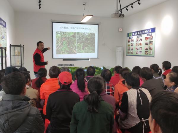 广西热作所特色水果产业先锋队赴马山县开展澳洲坚果技术培训