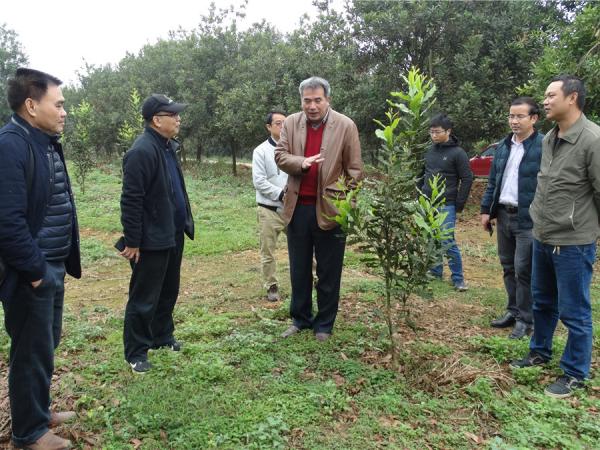 小坚果,大希望——发展坚果产业,助力精准扶贫