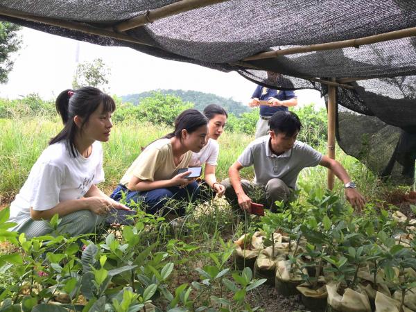 广西热作所科技特派员到北流市开展科技需求征集和送技术活动