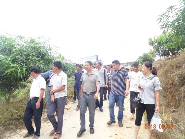 广西热作所科技特派员在贫困村举办“芒果栽培与病虫害防控技术培训班”