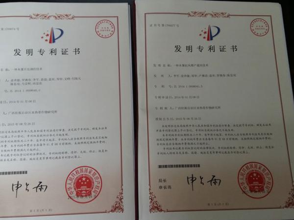 广西木薯研究所新获两项国家发明专利