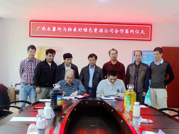 广西木薯研究所与雅美好公司举行科技合作签约仪式