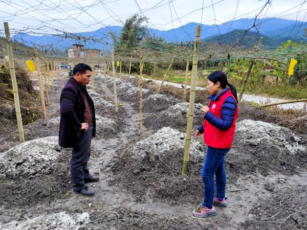 广西热作所科技特派员赴柳州开展技术服务活动