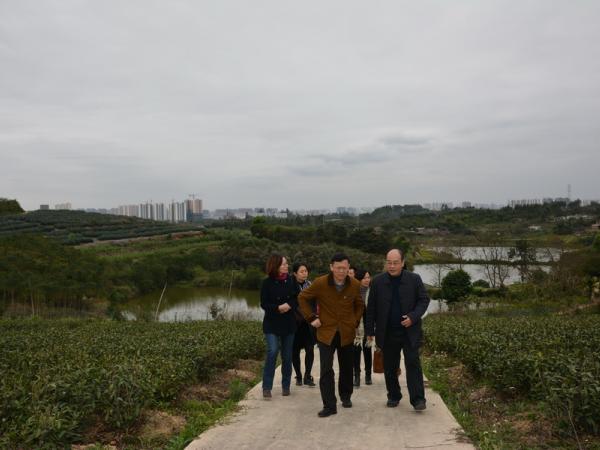 广西职业技术学院院长李卫东带队到广西热作所考察学习