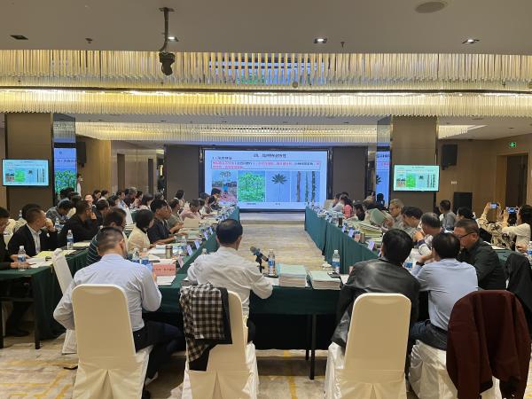 木薯新品种“桂热13号”通过全国热带作物品种审定委员会会议审定