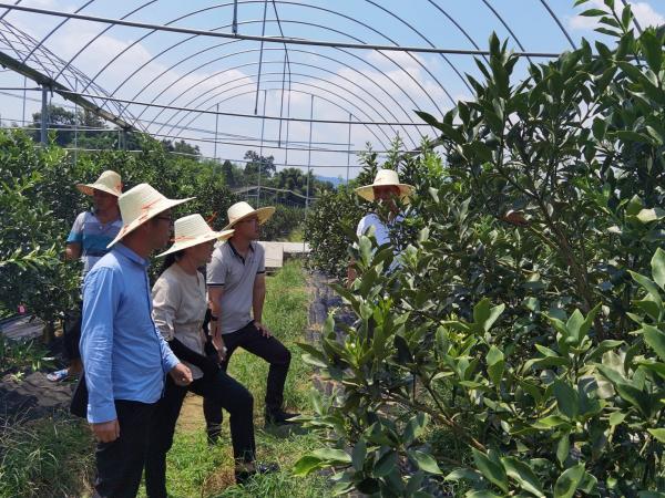 我为群众办实事--广西热作所科技特派员服务团队赴桂林全州开展科技需求征集和送技术服务活动