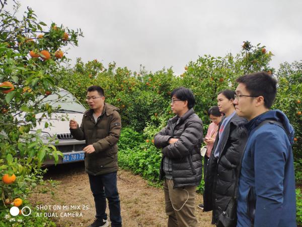 广西热作所农产品质量安全产业科技先锋队赴武鸣开展调研交流工作