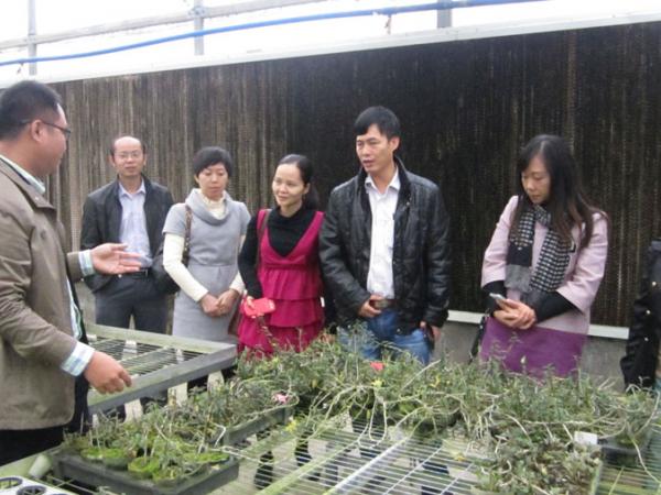 广西热作所所长黄强带队赴中国热带农业科学院交流与学习