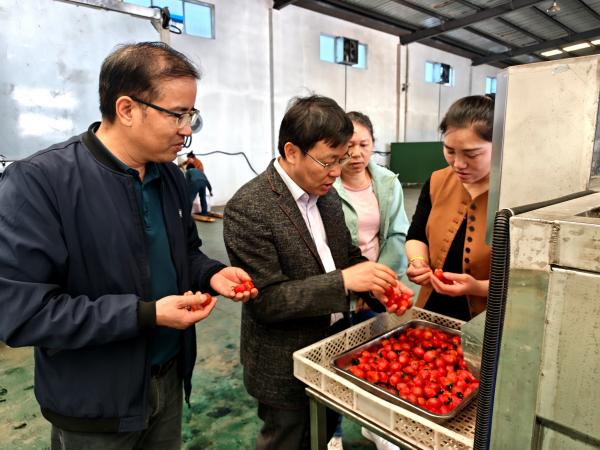 广西热作所农产品精深加工产业科技先锋队赴山东诸城市考察农产品加工设备