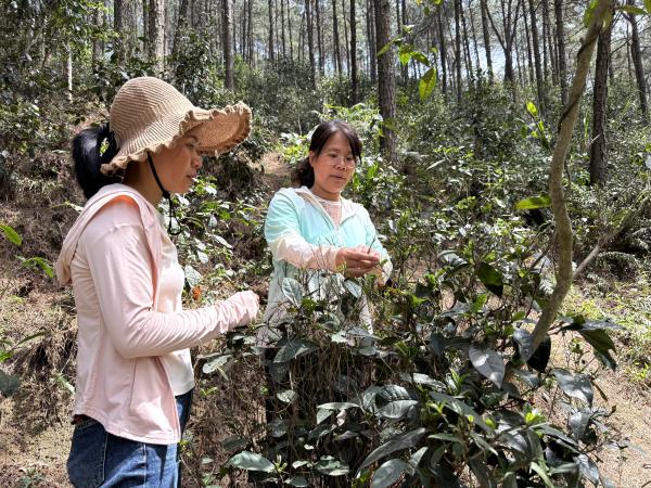广西三八红旗集体广西热作所加工中心成员赴贵港市开展科技服务