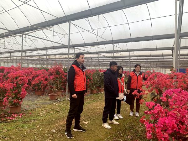 广西热作所科技特派员赴上林县开展“抗低温、防冰冻、促春耕〞科技下乡活动