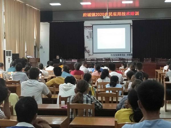 广西热作所科技人员赴武鸣区开展科技服务