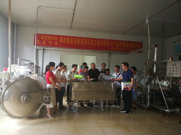 广西热作所承担的广西创新驱动发展重大专项课题“澳洲坚果及板栗精深加工技术研究与产品开发”通过现场查定