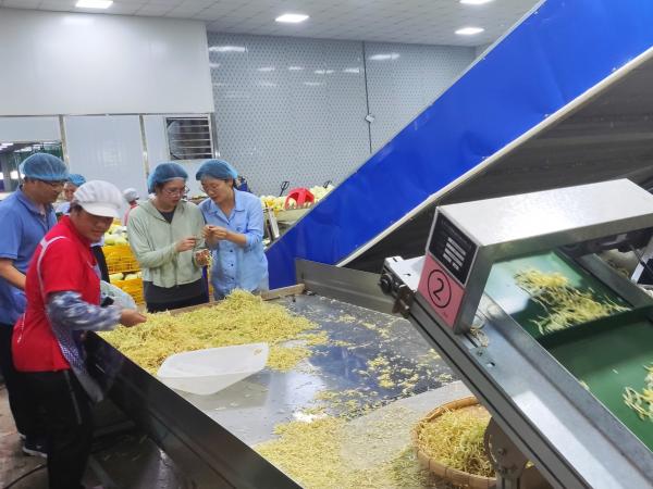 广西热作所名特优农产品加工研究团队赴平南开展特色农产品加工技术交流与服务