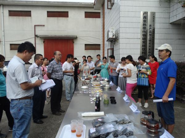 广西热作所隆重开展科研生产大检查工作