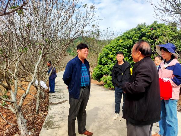 广西落叶果树产业创新团队桂南综合试验站专家到钦州市开展技术服务
