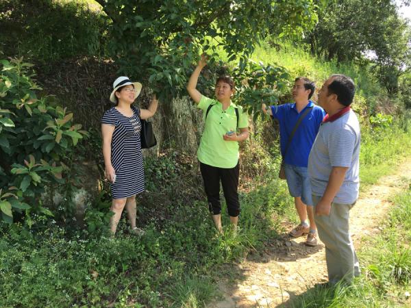 广西热作所科技人员到河池市天峨县开展技术服务