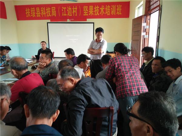 广西热作所科技特派员积极开展澳洲坚果种植技术服务