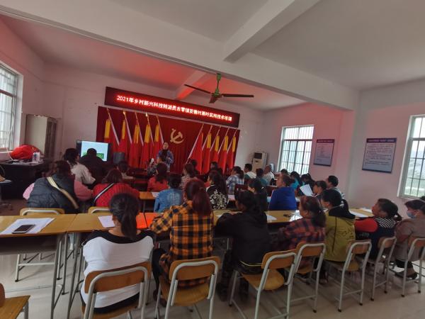 广西热作所茶叶先锋队赴上林县和马山县开展科技服务工作