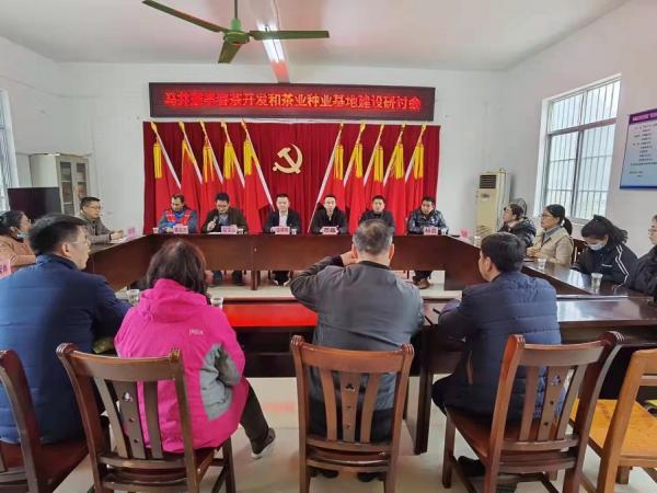 广西农业科学院茶叶团队参加马山县春茶开采仪式