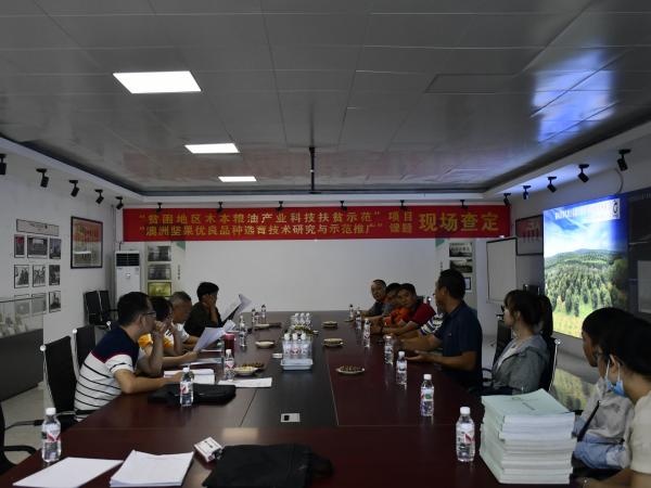 广西热作所承担的广西创新驱动发展重大专项课题“澳洲坚果优良品种选育技术研究与示范推广”通过现场查定
