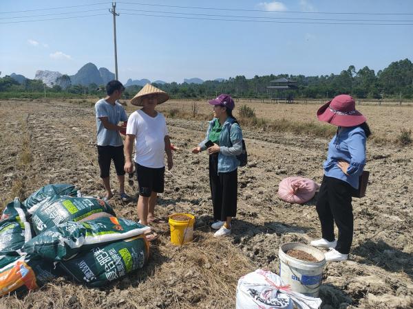 广西热作所融水高山红薯创新种植课题组赴广西秋野家公司开展项目实施工作