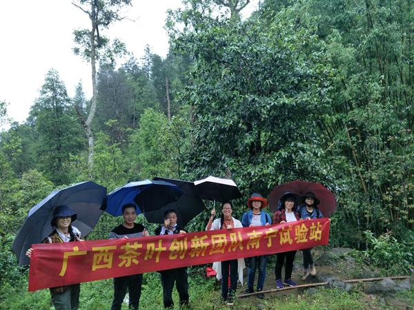 广西茶叶创新团队南宁试验站科技人员赴宁明县开展科技服务