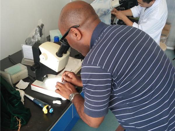 澳大利亚昆士兰大学Olufemi Akinsanmi博士应邀到广西热作所开展学术交流活动