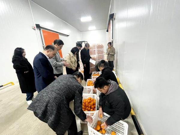 广西重点研发计划项目“沃柑安全高效采后贮藏保鲜关键技术研究与应用示范”通过现场查定